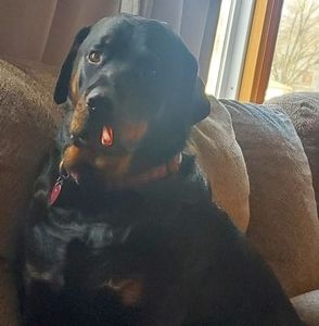 Meet your Posher, Nathan